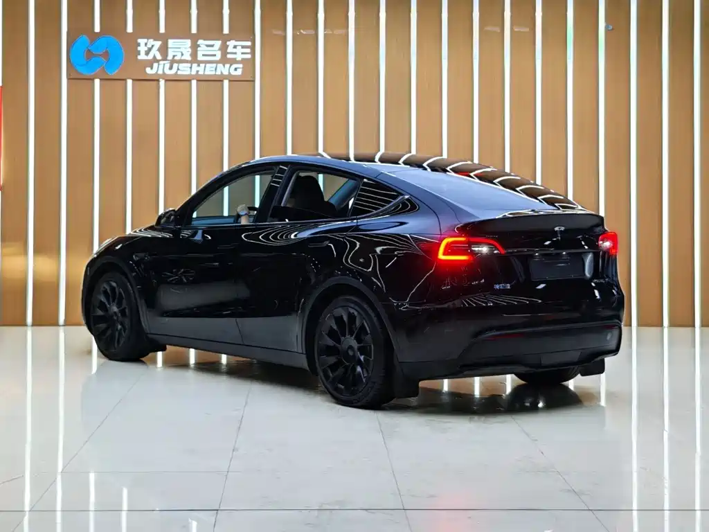 Model Y 2022 Rear-Wheel Drive Edition