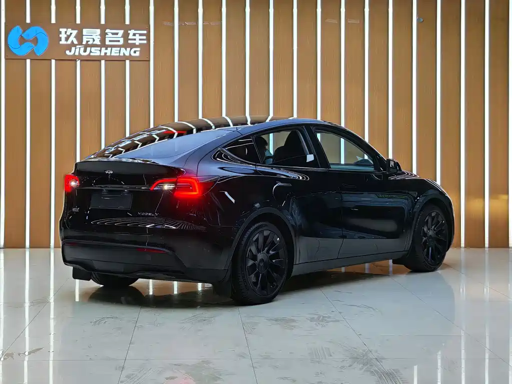 Model Y 2022 Rear-Wheel Drive Edition