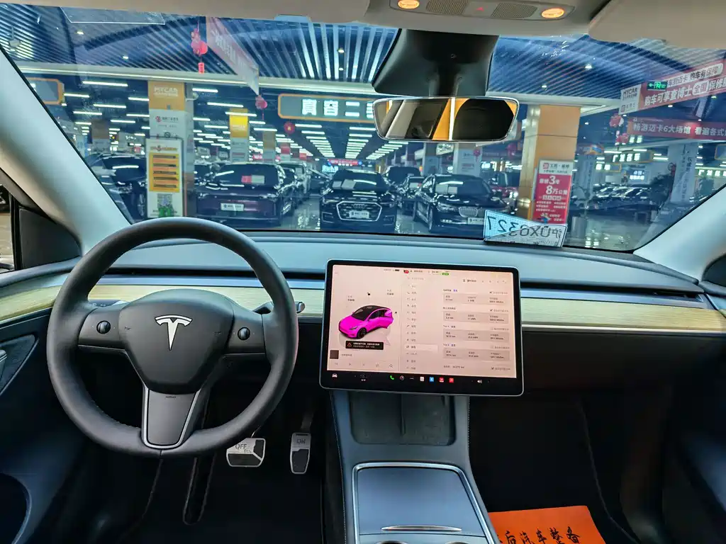Model Y 2022 Rear-Wheel Drive Edition