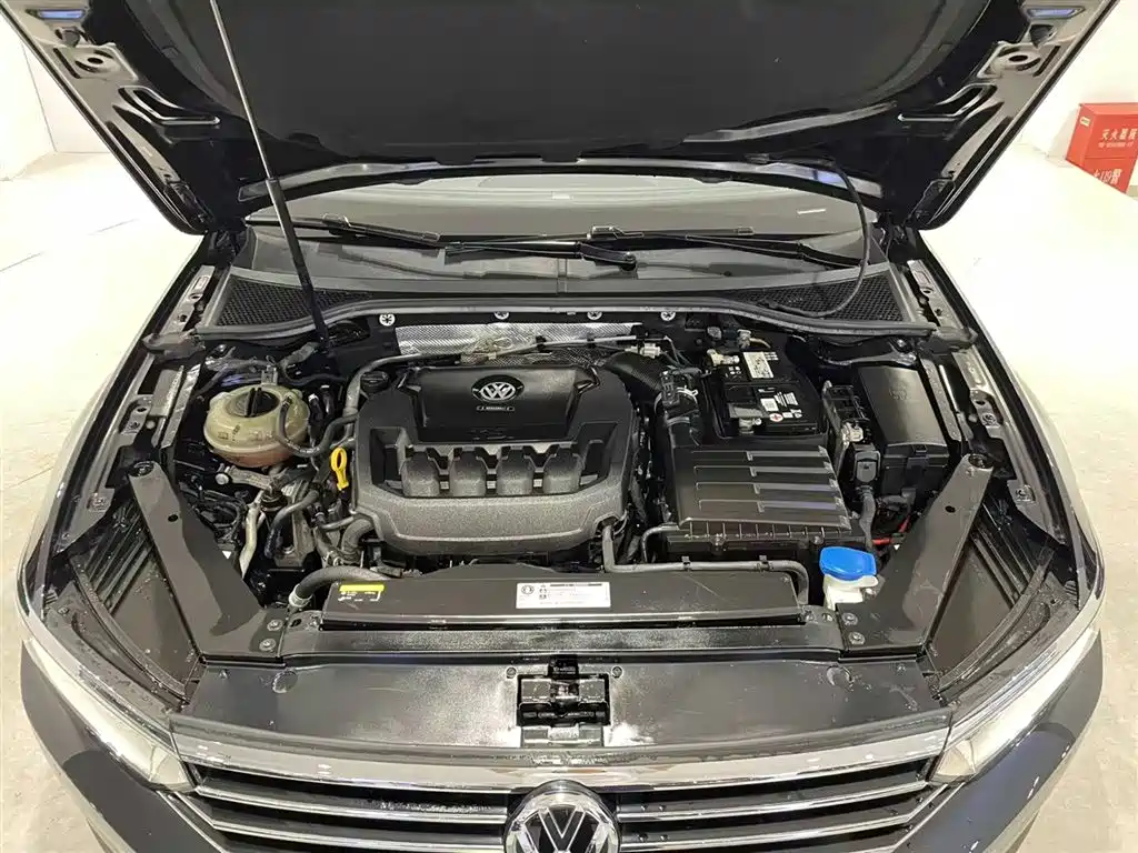 Magotan 2019 330TSI DSG Luxury Edition National VI