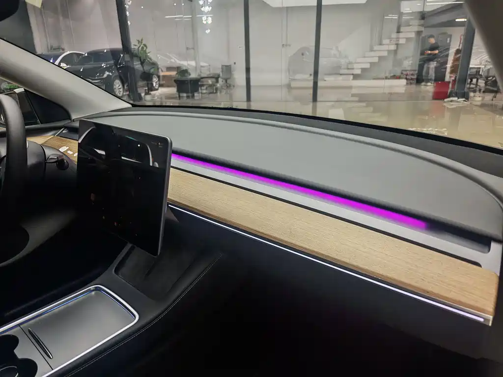 Model Y 2022 Rear-Wheel Drive Edition