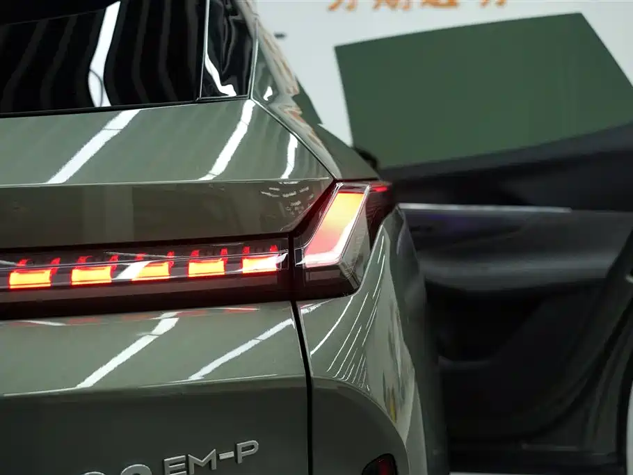 LEON 08 EM-P 2023 Performance Halo 4WD 220km