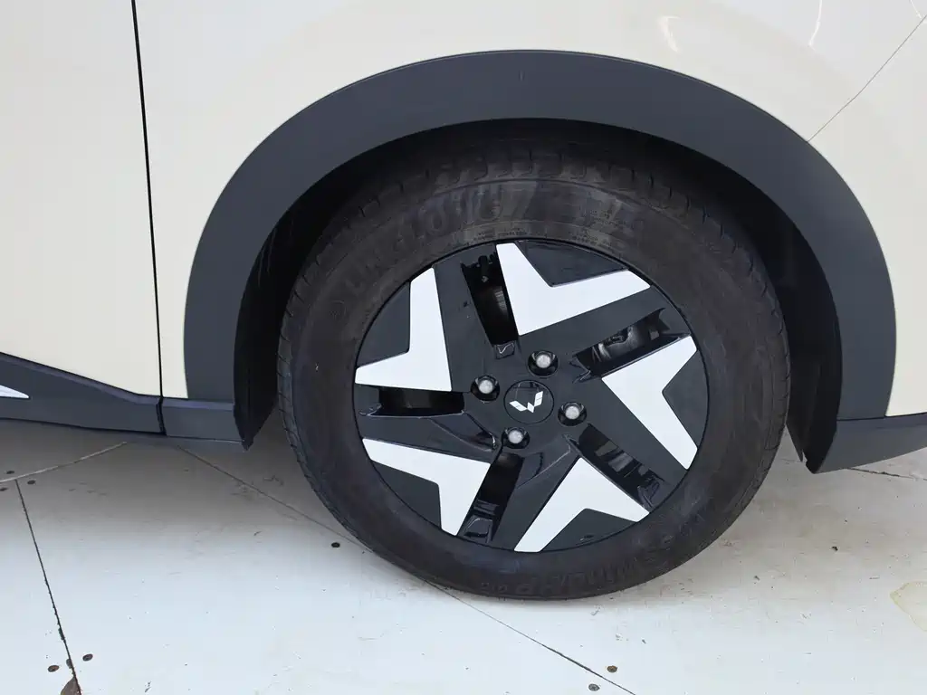 Bingo S 2025 Edition 430km Flagship Model