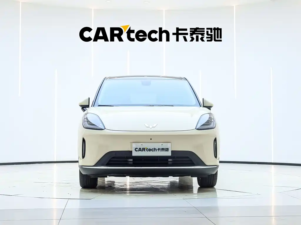 Bingo S 2025 Edition 430km Flagship Model