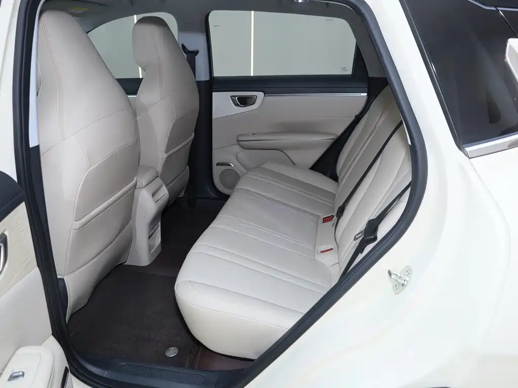 Bingo S 2025 Edition 430km Flagship Model