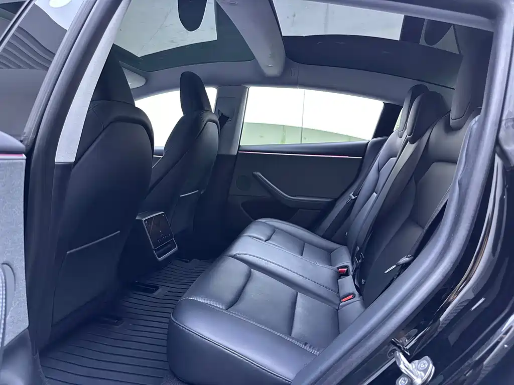 Model 3 Rear-Wheel Drive 2023