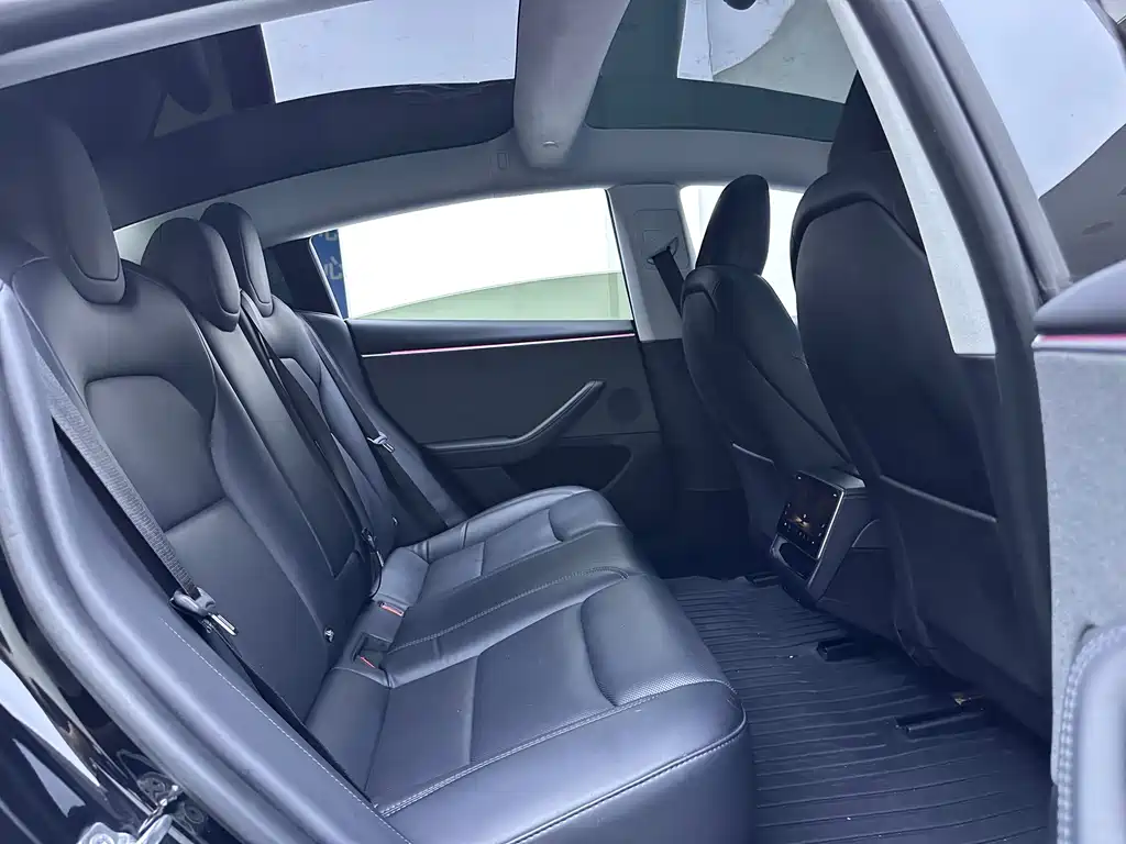 Model 3 Rear-Wheel Drive 2023