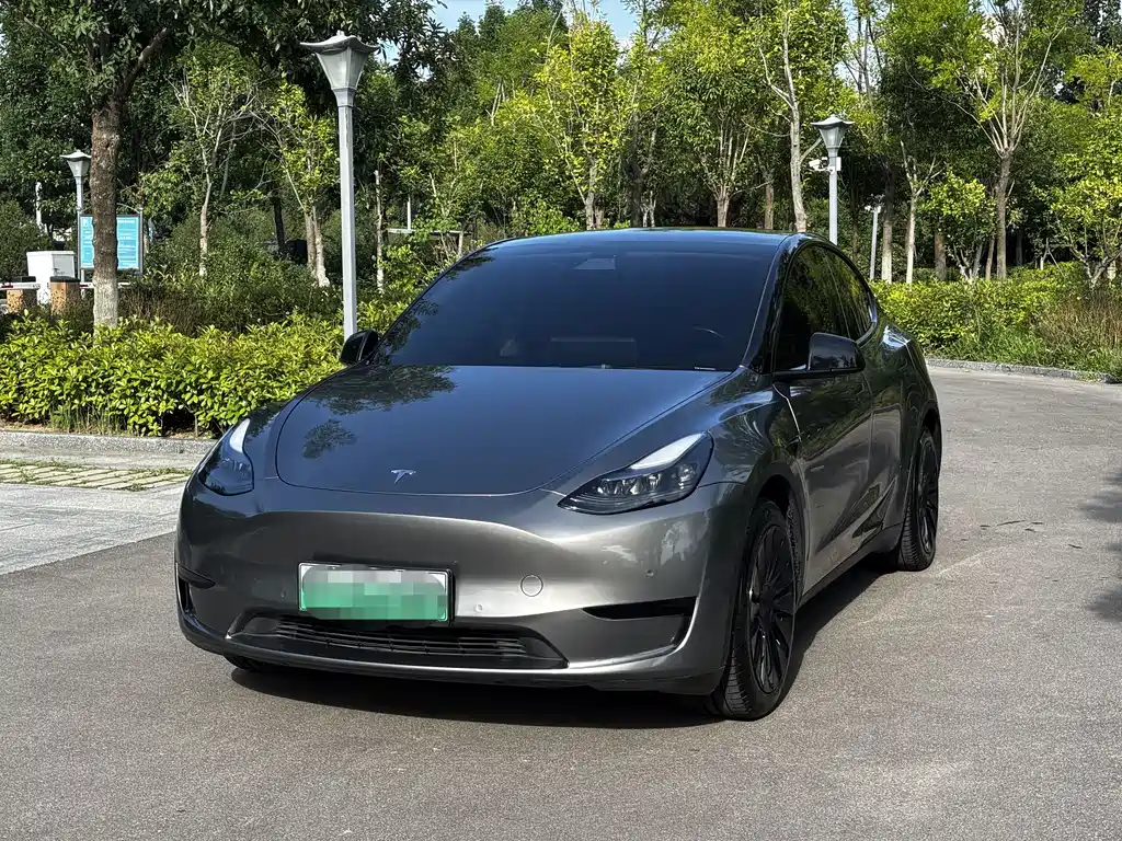 Model Y 2022 Rear-Wheel Drive Edition