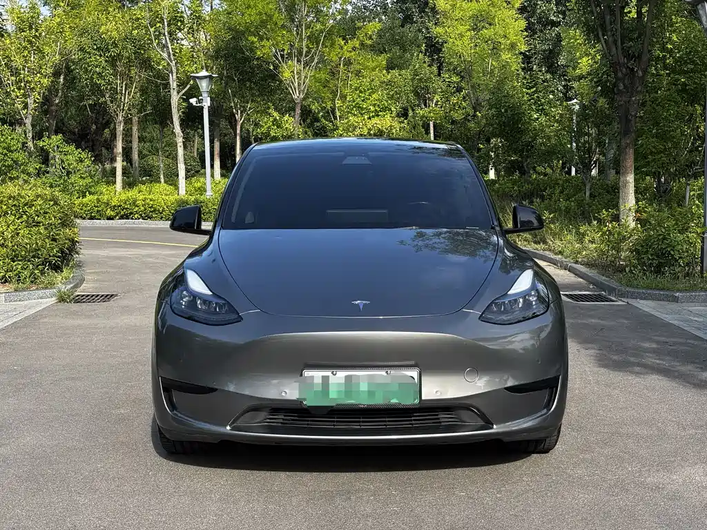 Model Y 2022 Rear-Wheel Drive Edition