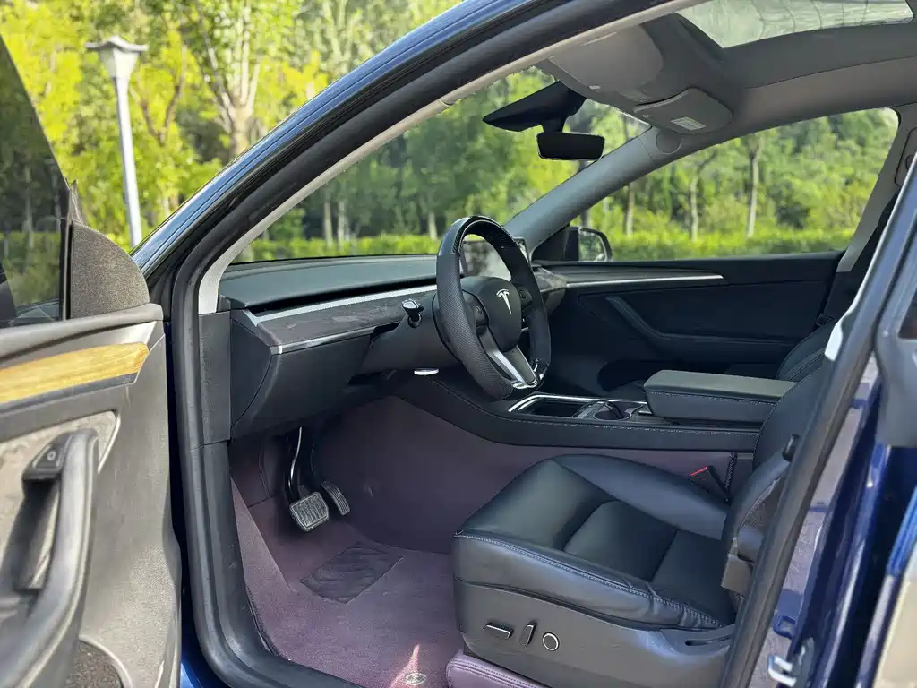 Model Y 2022 Rear-Wheel Drive Edition