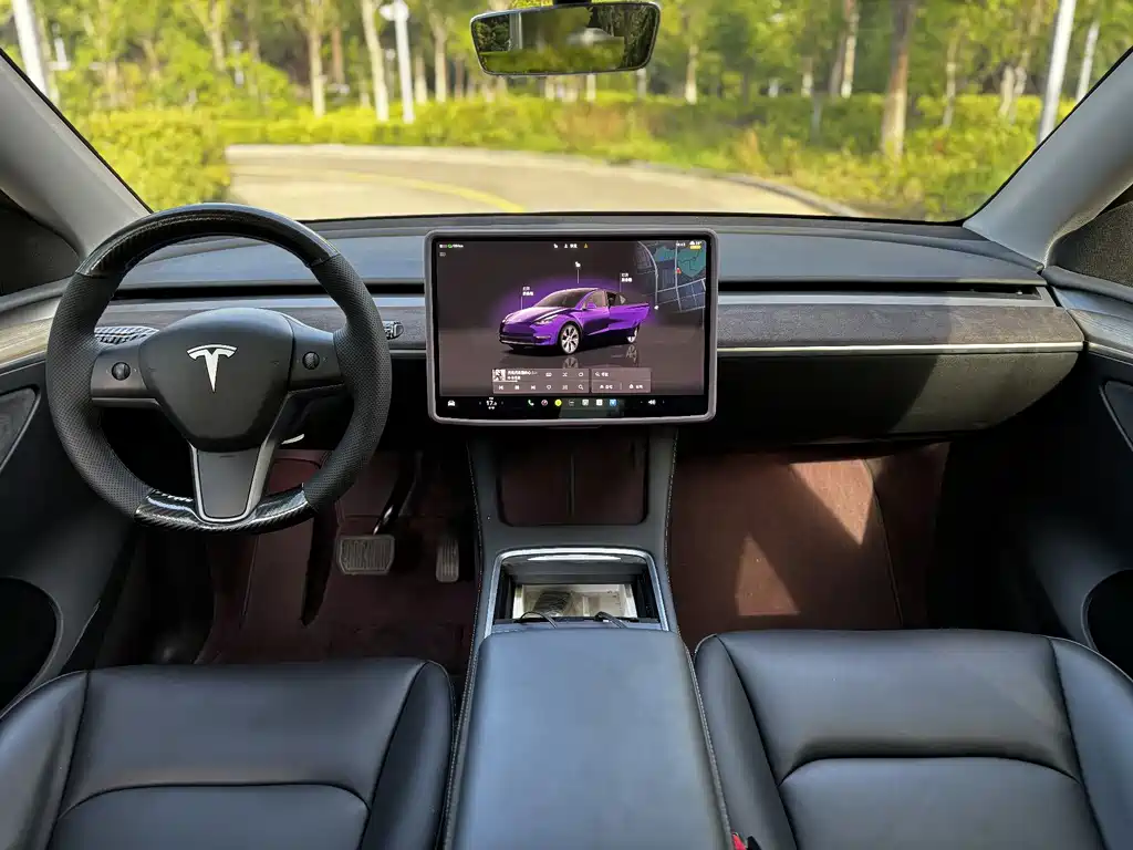 Model Y 2022 Rear-Wheel Drive Edition