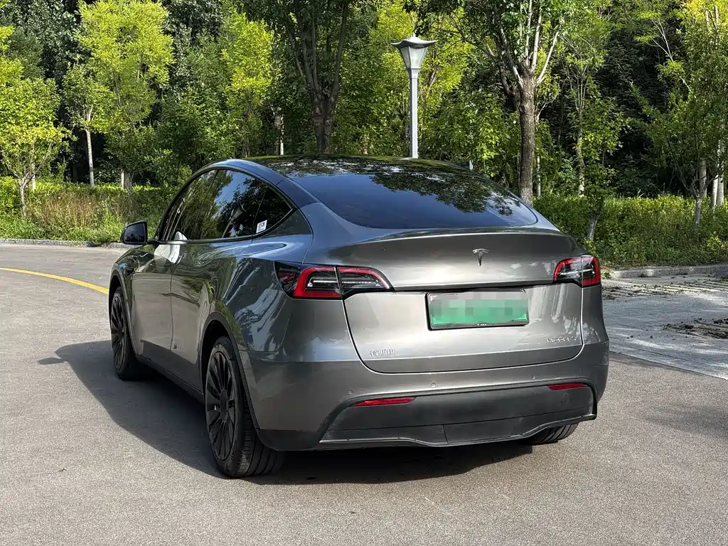 Model Y 2022 Rear-Wheel Drive Edition