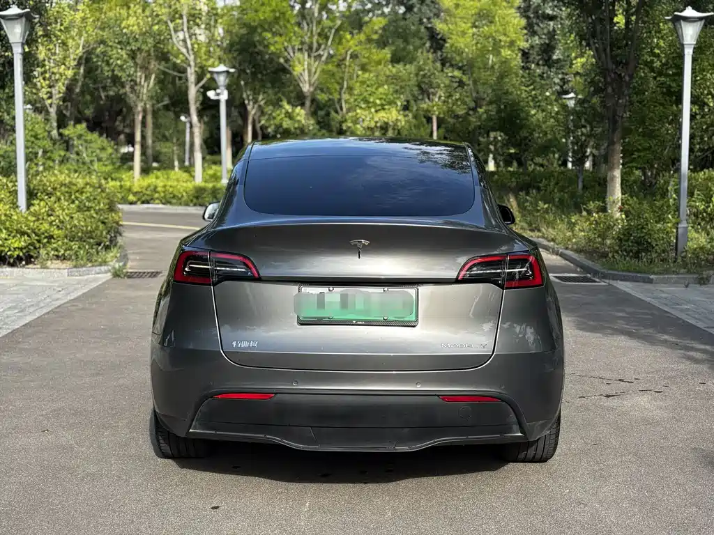 Model Y 2022 Rear-Wheel Drive Edition