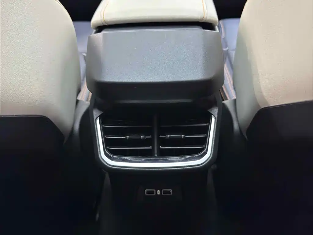 LEON 06 EM-P 2023 1.5T Remix PHEV Pro