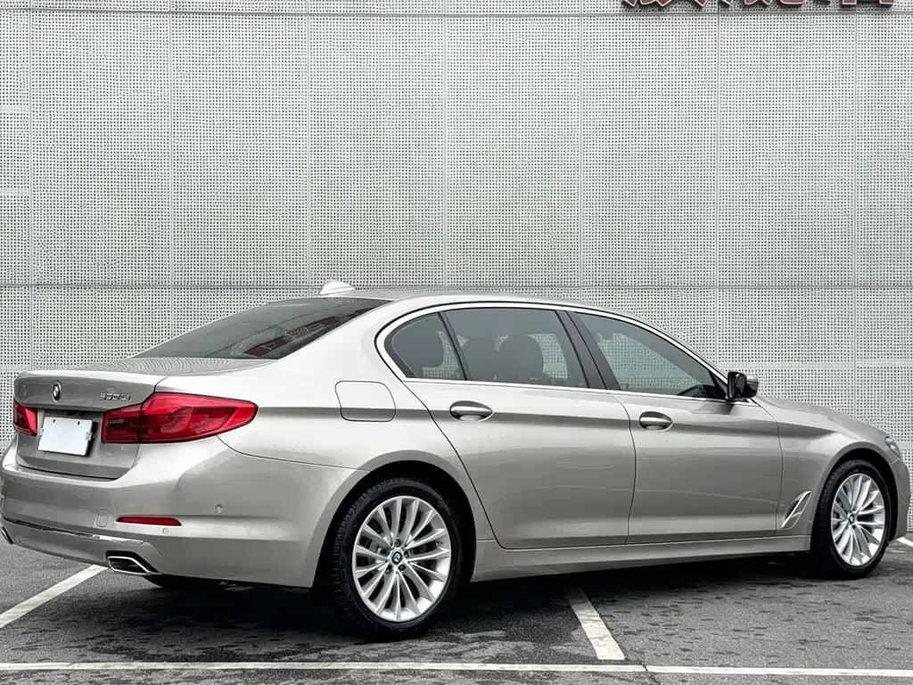 BMW 5 Series 2020 530Li Leading Edition Luxury Package