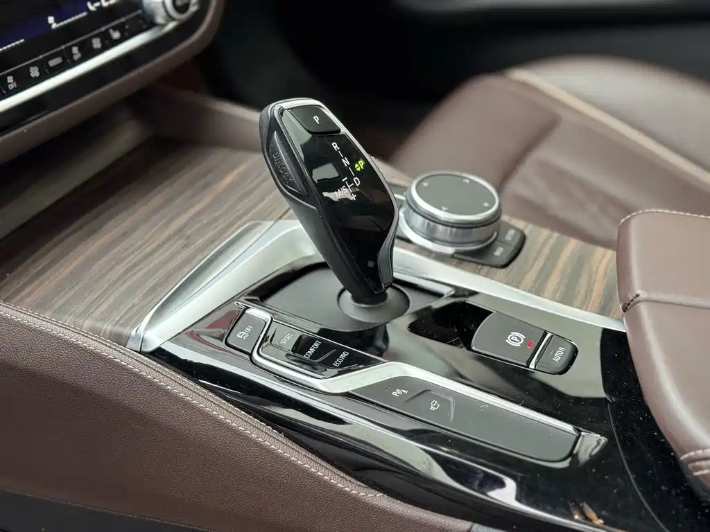 BMW 5 Series 2020 530Li Leading Edition Luxury Package