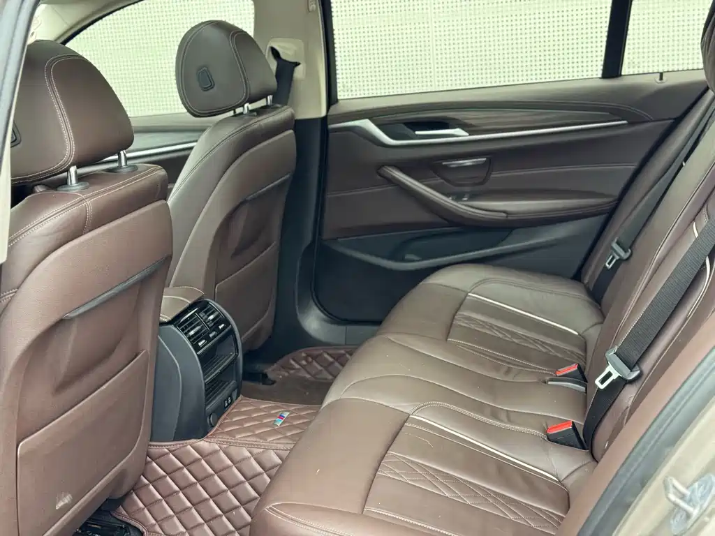 BMW 5 Series 2020 530Li Leading Edition Luxury Package