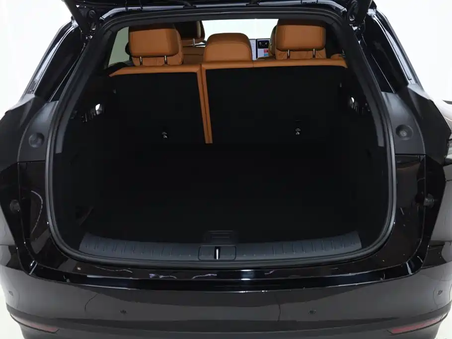 Lemon i6 2025 Model Two-wheel-drive Standard Edition