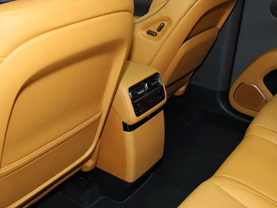 Lemon i6 2025 Model Two-wheel-drive Standard Edition