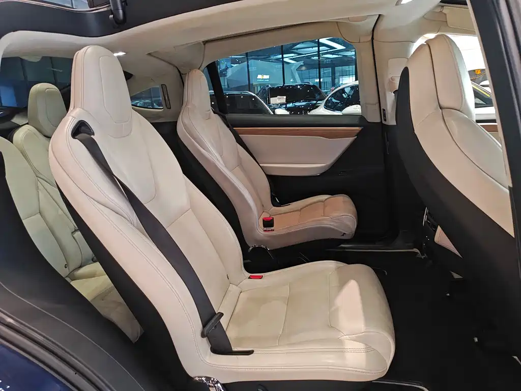 Model X 2017 Long Range Version