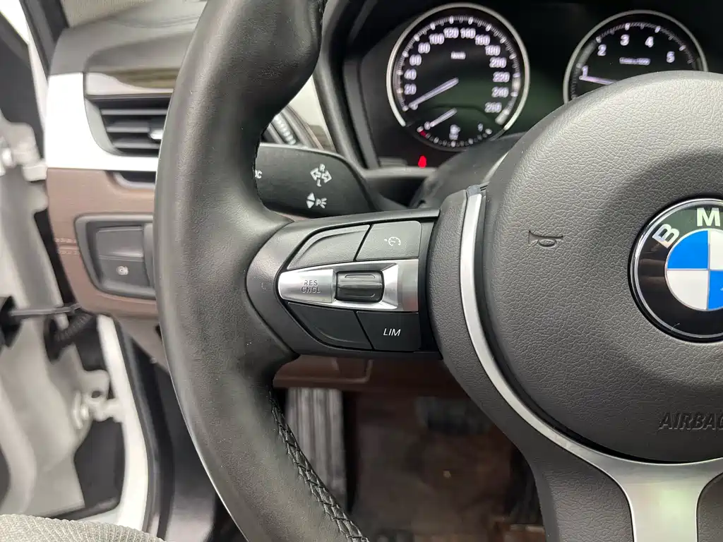 BMW X1 xDrive25Li Luxury Edition 2022