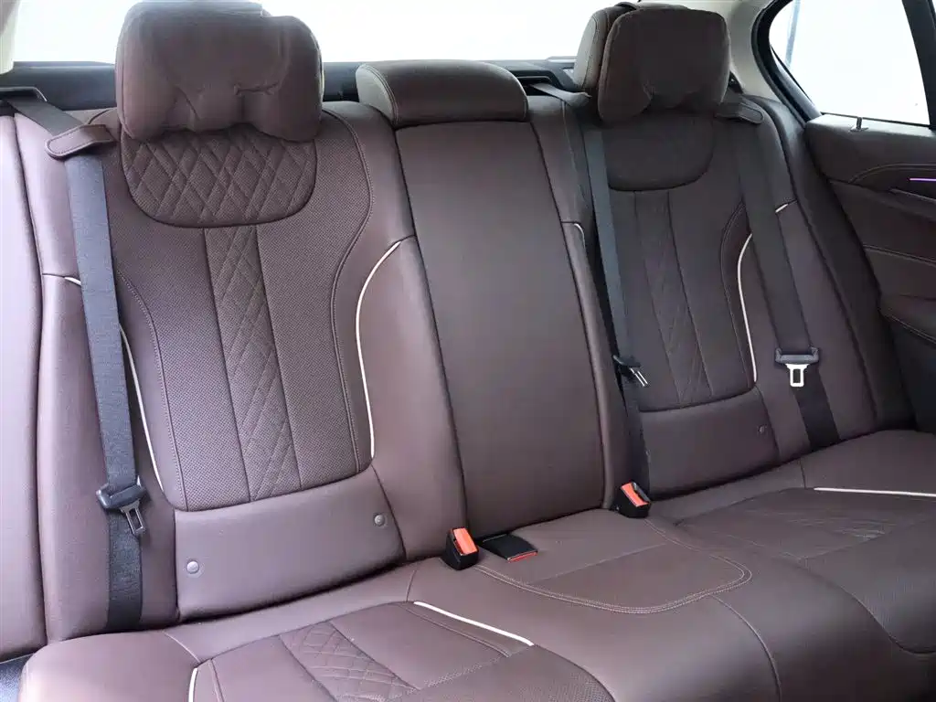 BMW 5 Series 2021 530Li Leading Edition Luxury Package
