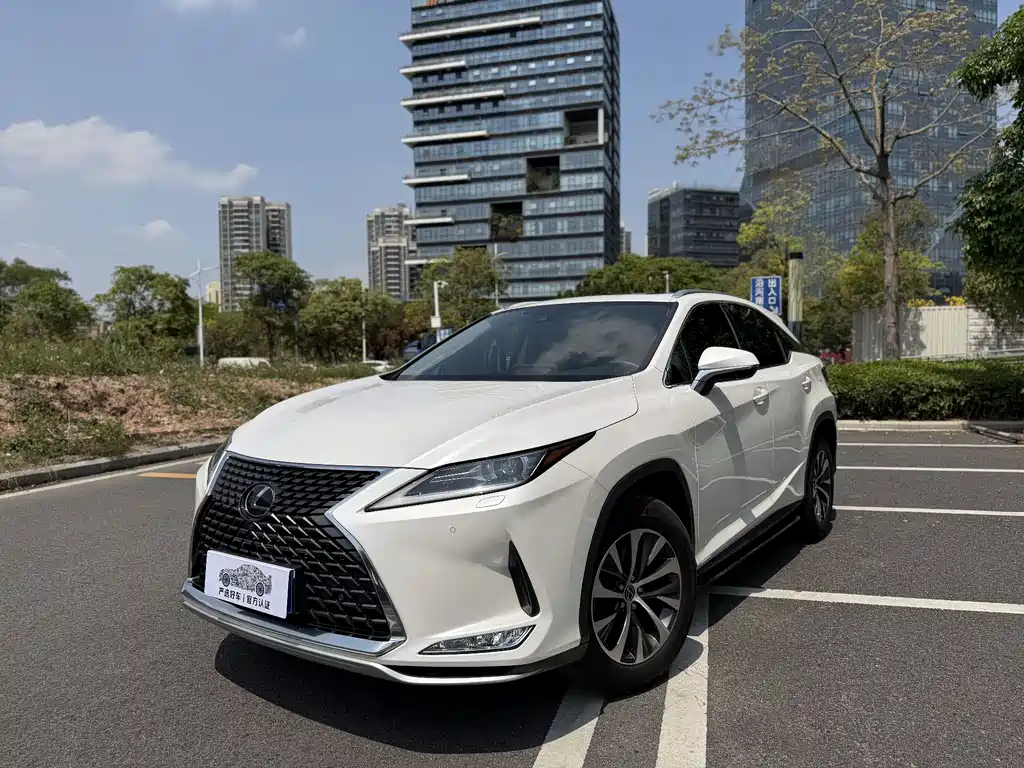 Lexus RX 2020 300 Two-wheel Drive Comfort Edition National V