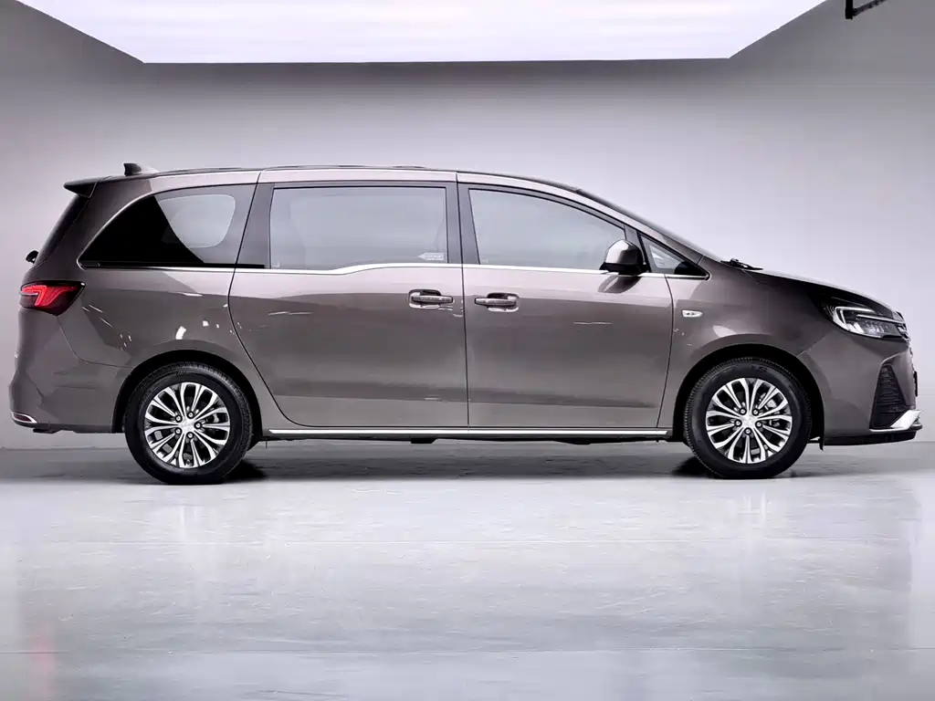 Buick GL8 2022 Luxury Edition with Wheelchair Access