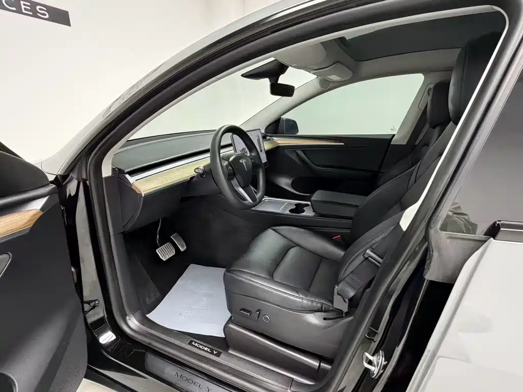 Model Y 2022 Rear-Wheel Drive Edition