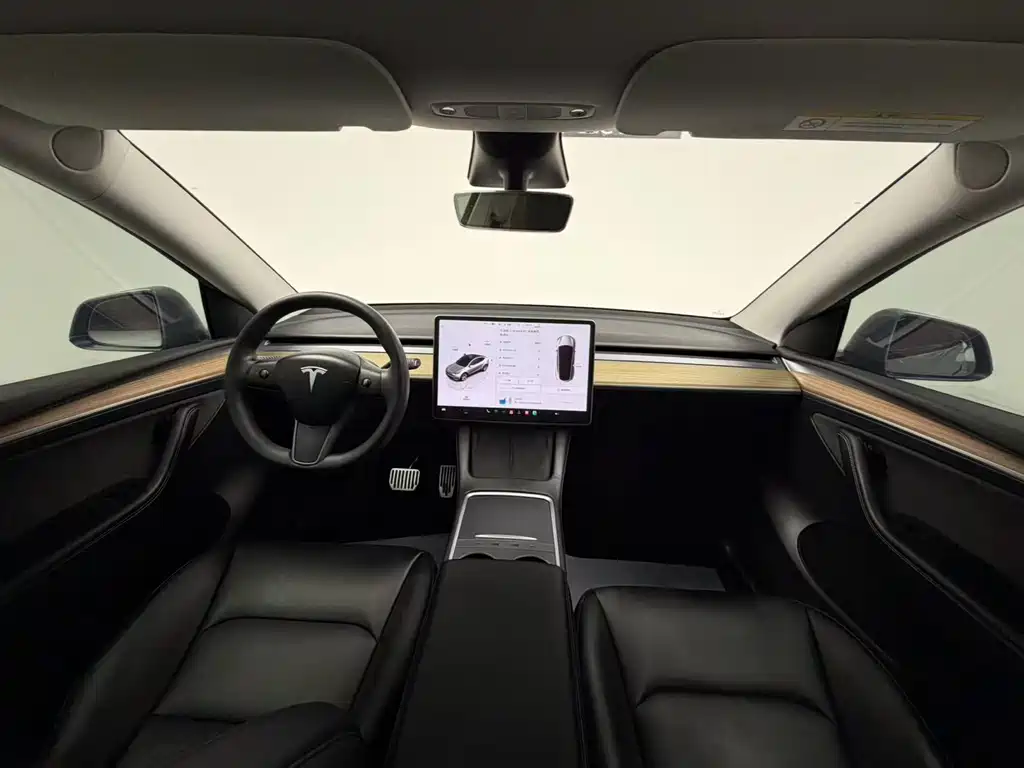 Model Y 2022 Rear-Wheel Drive Edition