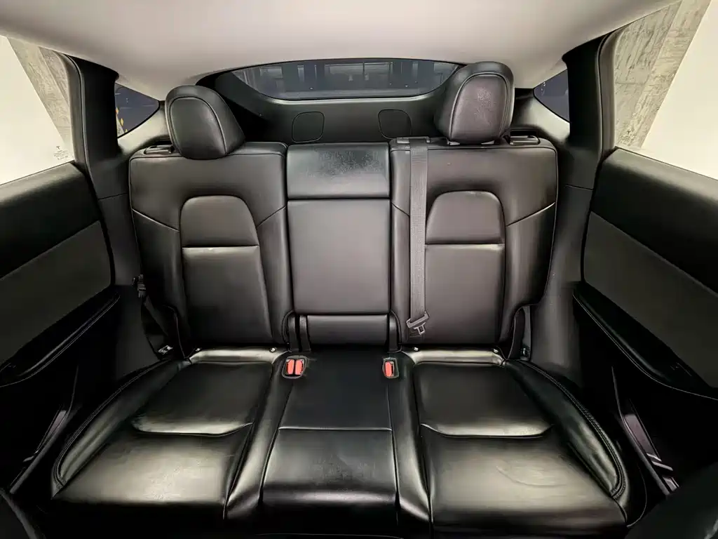 Model Y 2022 Rear-Wheel Drive Edition