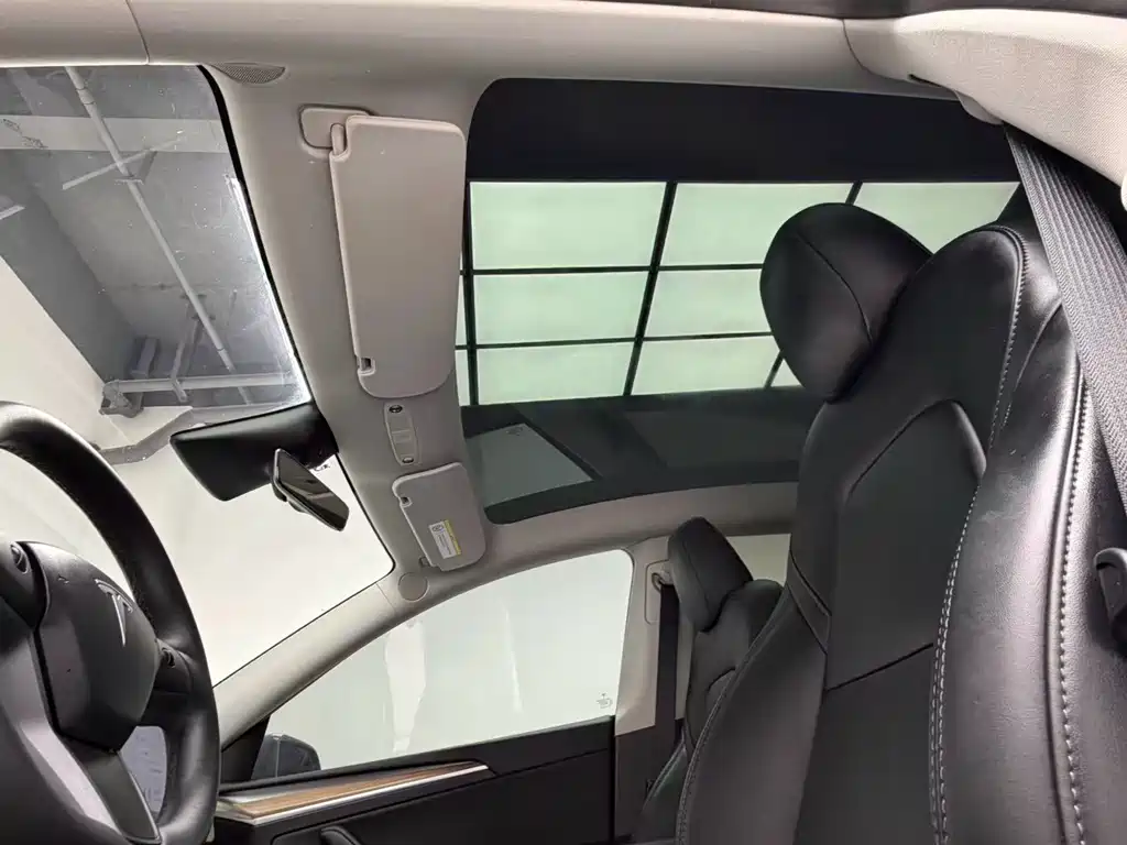 Model Y 2022 Rear-Wheel Drive Edition