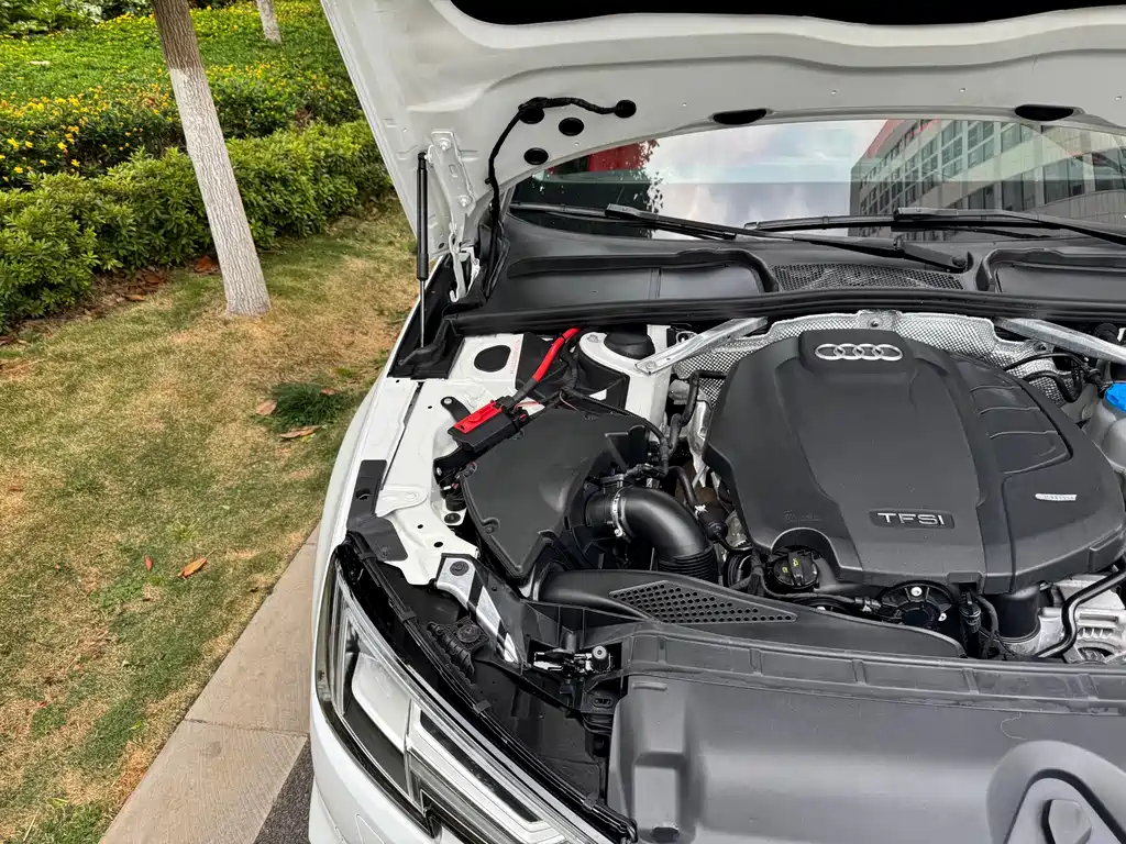 Audi A4L 2019 40 TFSI进取型国V