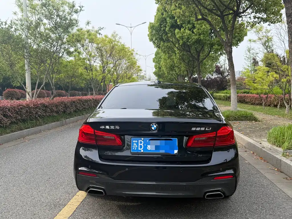 BMW 5 Series 2020 525Li M Sport Package