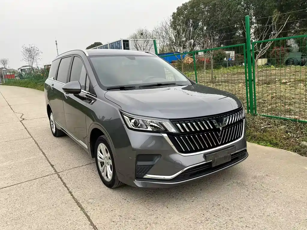 Wuling Jiachen 2022 1.5T Manual Shuxiang Liveliness Edition
