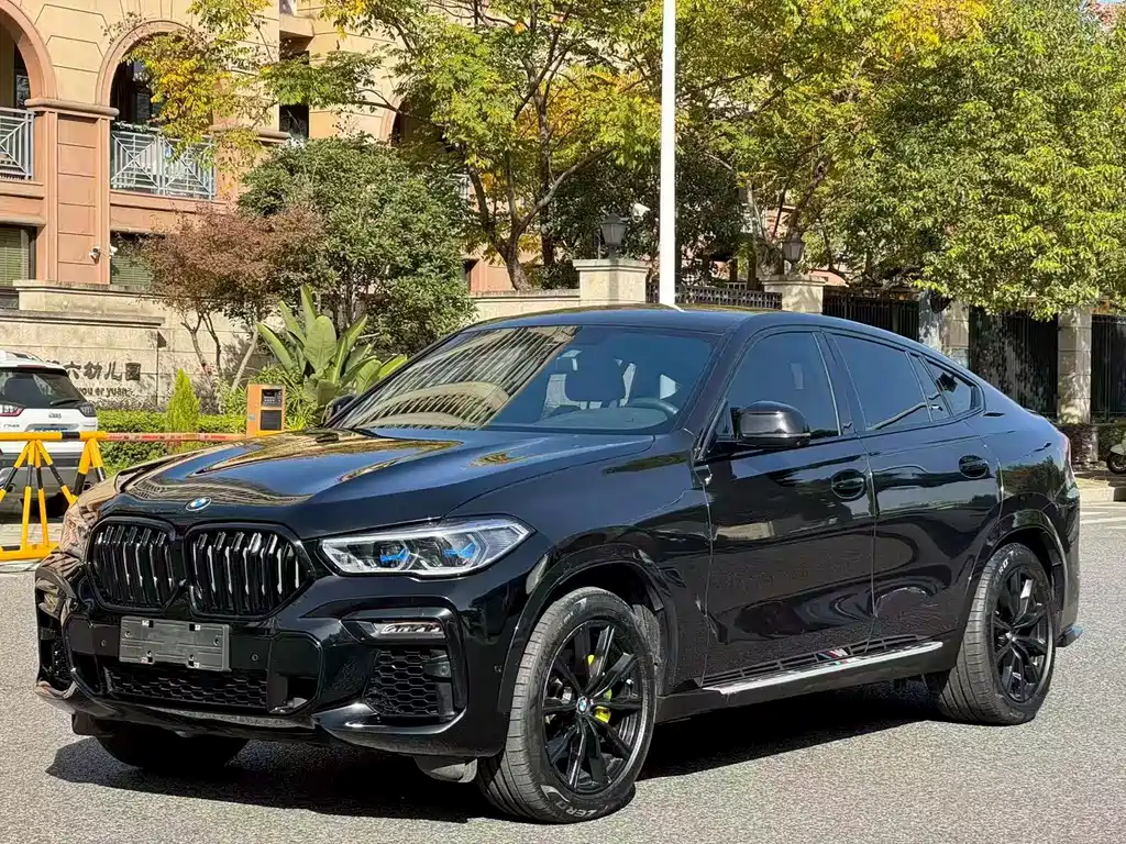 BMW X6 2020 xDrive40i M Sport Package