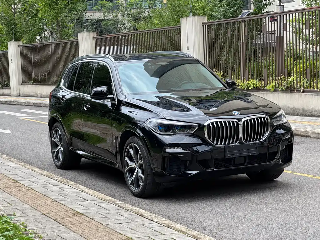 BMW X5 Import 2019 Model xDrive40i Excellence Edition M Sport Package
