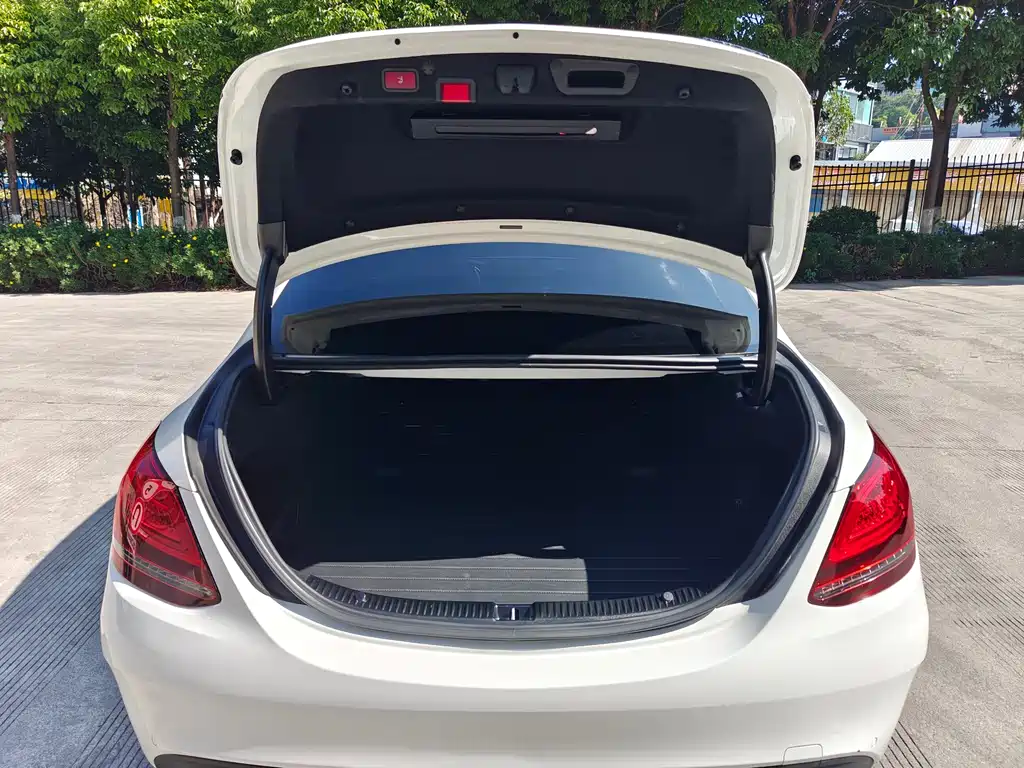 Mercedes-Benz C-Class 2021 C 260 Starry Treasure Edition
