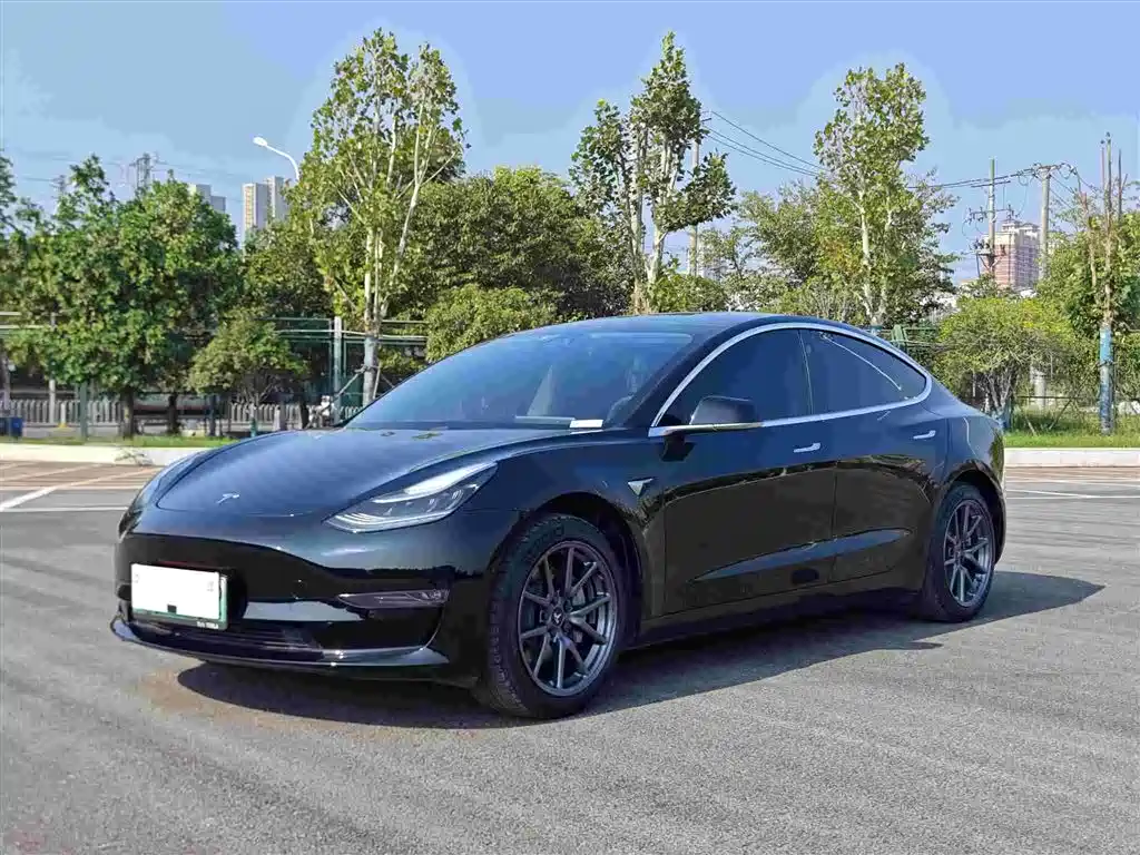 Model 3 Long Range Rear-Wheel Drive 2020款