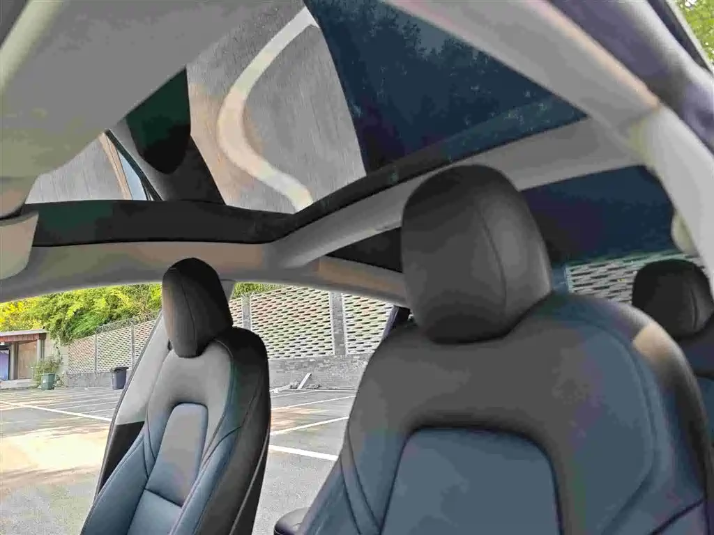 Model 3 Long Range Rear-Wheel Drive 2020款