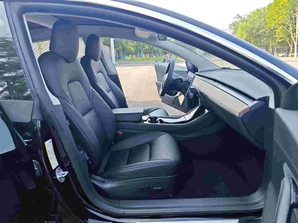 Model 3 Long Range Rear-Wheel Drive 2020款