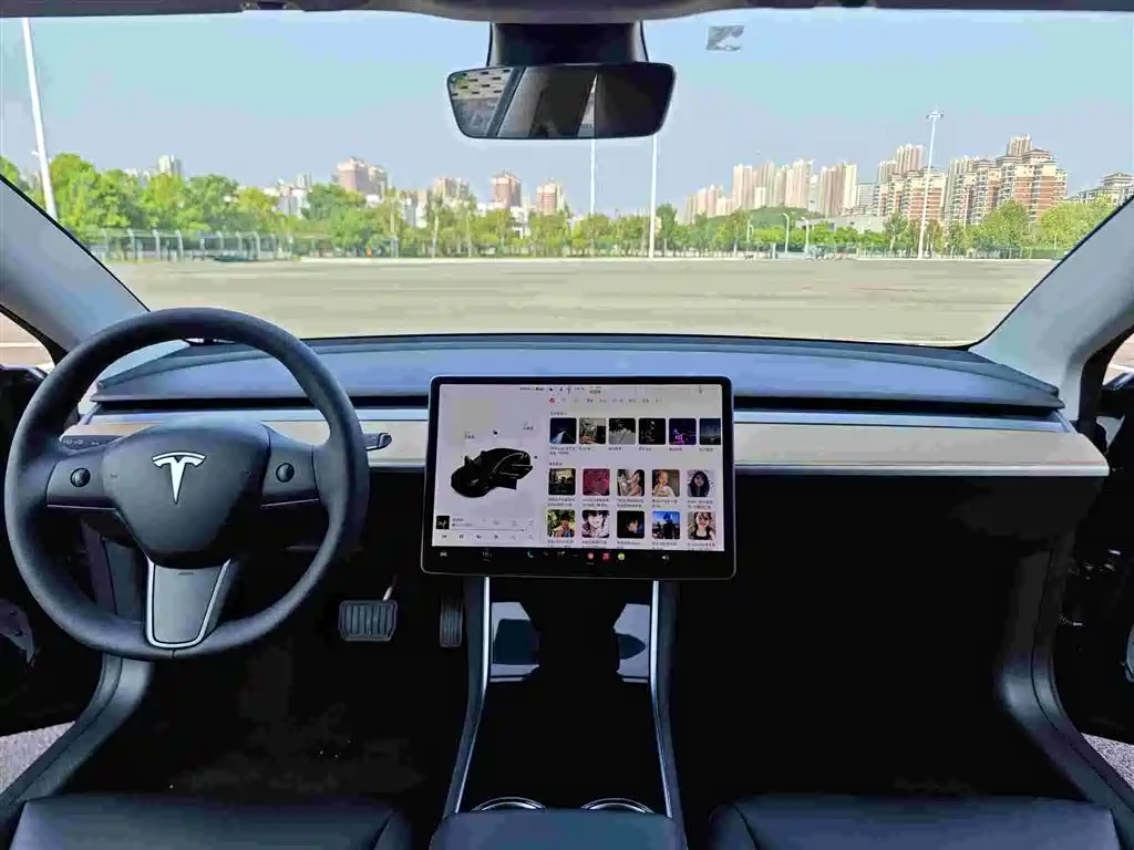 Model 3 Long Range Rear-Wheel Drive 2020款