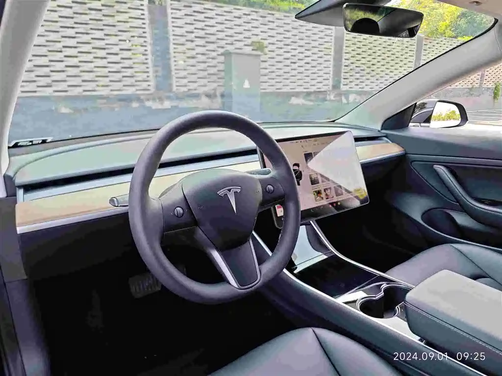 Model 3 Long Range Rear-Wheel Drive 2020款