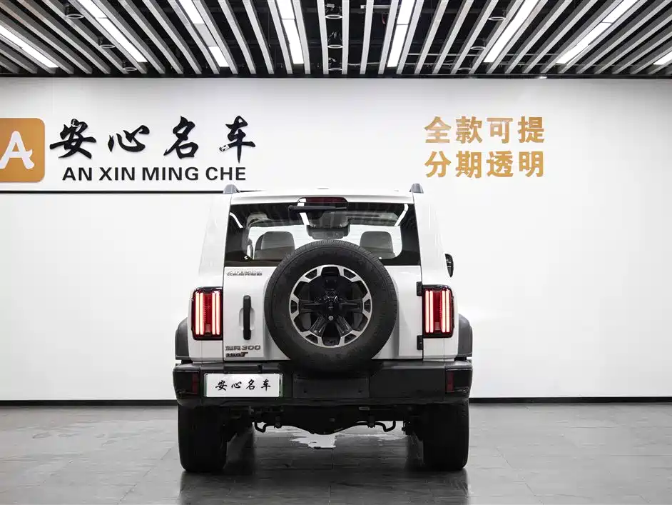 Tank 300 New Energy 2025 Model Hi4-T 37.1kWh