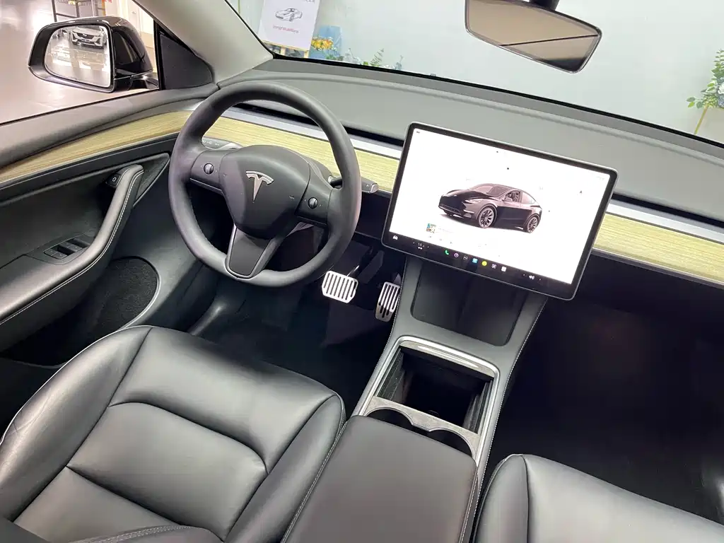 Model Y 2022 Rear-Wheel Drive Edition