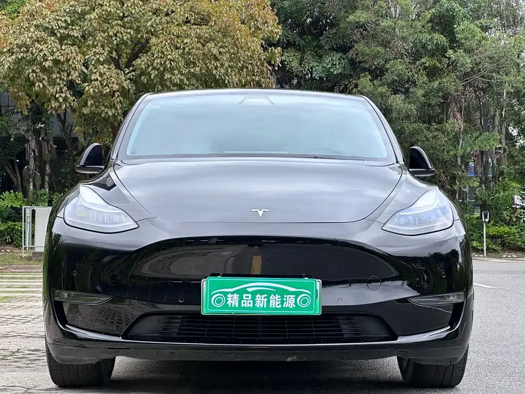 Model Y Long Range All-Wheel Drive 2022
