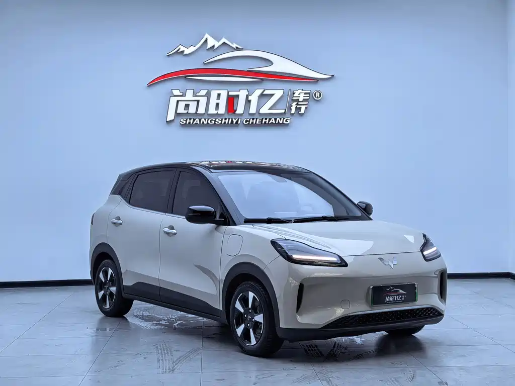 Wuling Bingo PLUS 2024 401km 5-seat edition