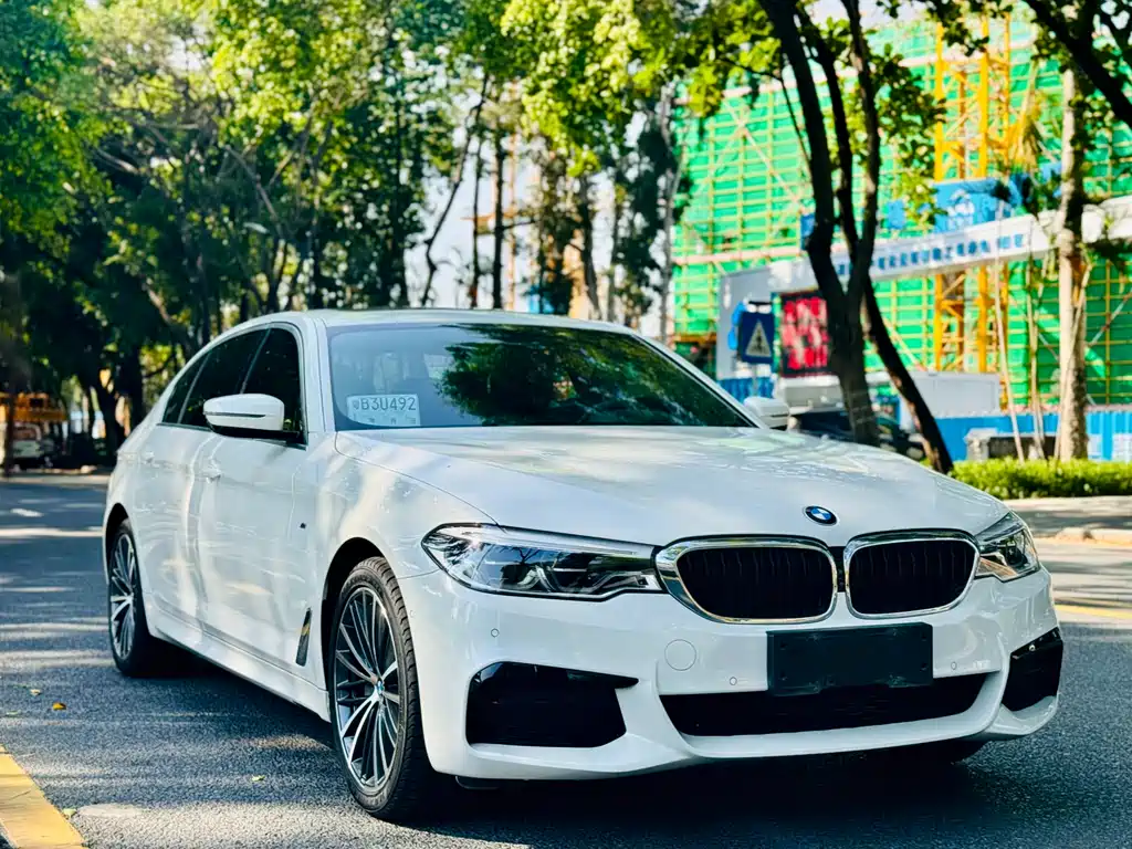 BMW 5 Series 2020 530Li Luxury Edition M Sport Package