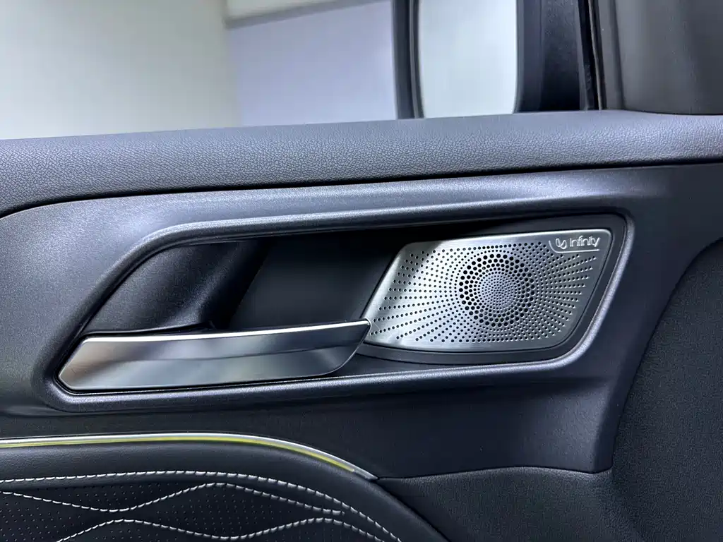 Tank 300 2021 Model Off-road Edition 2.0T Conqueror