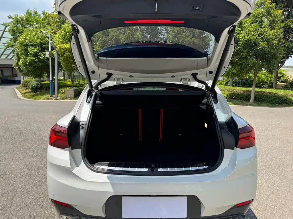 BMW X2 2022 sDrive25i M Sport Package